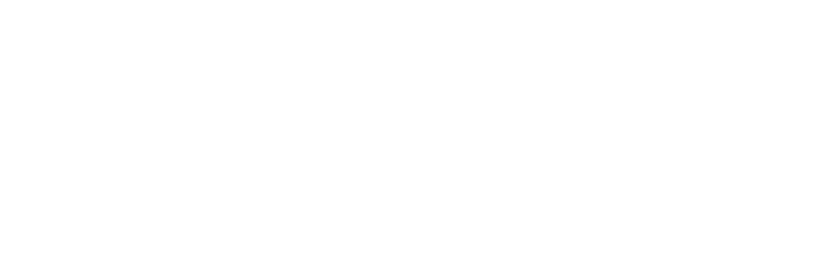 Taiden Europe